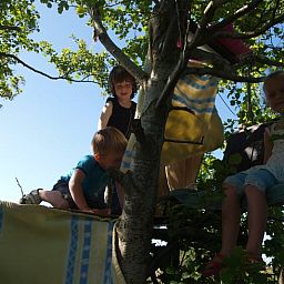 Kinderen spelen in de natuur rondom Vakantiehuisje in Boijl, midden in de Friese bossen.