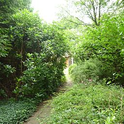 Unterkunft 231511 - Ferienhaus Friese bossen - Vakantiehuis in Boijl