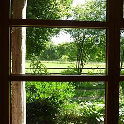 Unterkunft 231511 - Ferienhaus Friese bossen - Vakantiehuis in Boijl