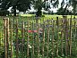 Verblijf 231603 • Vakantiewoning Friese bossen • Vakantiehuisje in Hoornsterzwaag  • 3 van 26