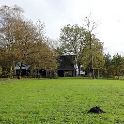 Guest house 233002 - Holiday property Friese bossen - Vakantiehuisje in Harich