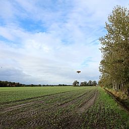 Guest house 233002 - Holiday property Friese bossen - Vakantiehuisje in Harich