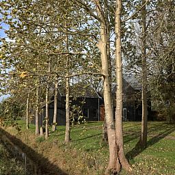 Guest house 233002 - Holiday property Friese bossen - Vakantiehuisje in Harich