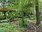 Unterkunft 233215 • Ferienhaus Friese bossen • Vakantiehuisje in Ravenswoud  • 11 von 25