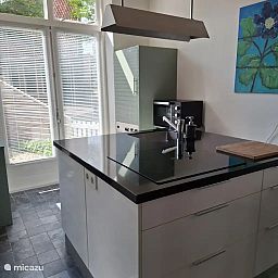 Guest house 240910 - Holiday property Friese elfsteden - Franeker Hûske