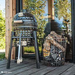 Guest house 260518 - Holiday property Het Friese platteland - Large Greenhouse