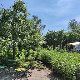 Unterkunft 260522 - Ferienhaus Het Friese platteland - «Large Green House»