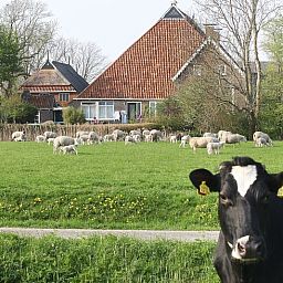 Unterkunft 2610702 - Ferienhaus Het Friese platteland - Huisje in Hiaure (vlakbij Dokkum)