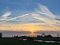 Guest house 2610804 • Holiday property Het Friese platteland • Vakantiehuisje in Poppenwier  • 13 of 15