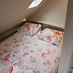 Guest house 2611413 - Holiday property Het Friese platteland - Wadden Geluk