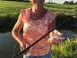 Guest house 2612701 • Holiday property Het Friese platteland • Huisje in Scharnegoutum  • 12 of 20