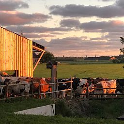 Guest house 2613003 - Holiday property Het Friese platteland - Huisje in Wijnaldum