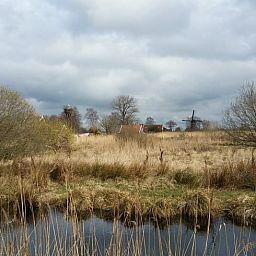 Guest house 2614002 - Holiday property Het Friese platteland - Huisje in Munnekeburen