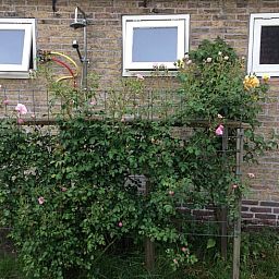 Guest house 2614002 - Holiday property Het Friese platteland - Huisje in Munnekeburen