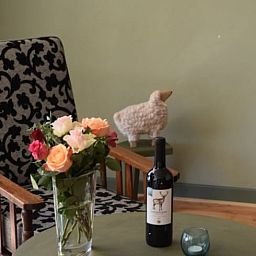 Stijlvolle zithoek in Vakantiehuisje in Munnekeburen, Friesland met bloemen en een fles wijn voor ontspanning.