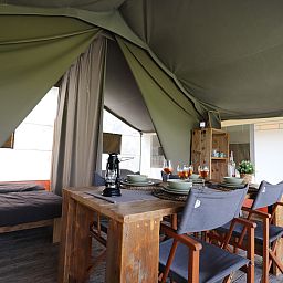 Unterkunft 2615007 - Zelthaus Het Friese platteland - Safaritent «'Gaadlik'»
