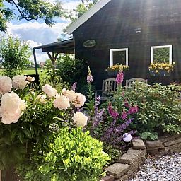 Unterkunft 2615203 - Ferienhaus Het Friese platteland - Vakantiehuisje in Wijtgaard