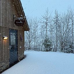 Winterse sfeer bij Vakantiehuis in Surhuisterveen met besneeuwde bomen in Friesland.