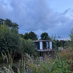 Huisje in Surhuisterveen omgeven door weelderige natuur in het Friese platteland, Friesland.