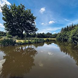 Unterkunft 2617711 - Ferienhaus Het Friese platteland - Kampeerhuisje aan de vijver