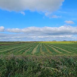 Unterkunft 2618102 - Ferienhaus Het Friese platteland - Vakantiehuisje in Ouwster-Nijega