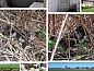 Guest house 2619201 • Holiday property Het Friese platteland • Vakantiehuis in Blije  • 6 of 12