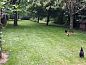 Guest house 2619601 • Holiday property Het Friese platteland • Huisje in Gersloot  • 5 of 26