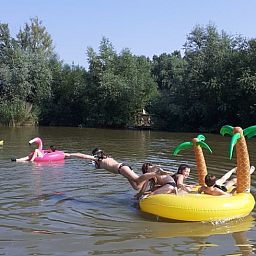 Guest house 2620203 - Holiday property Het Friese platteland - Vakantiehuisje in Jislum