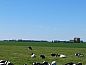 Guest house 2620205 • Holiday property Het Friese platteland • Vakantiehuisje in Jislum  • 10 of 20