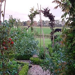 Guest house 2621301 - Holiday property Het Friese platteland - Vakantiehuisje in Gytsjerk