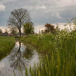 Huisje in Bears op het Friese platteland, omgeven door groene natuur en historische gebouwen in Friesland.