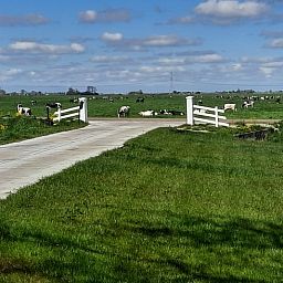 Geniessen Sie die weitlaeufige friesische Landschaft im Huisje in Oldelamer, einem Ferienhaus in Oldelamer mit herrlichem Blick auf gruene Wiesen.