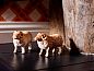 Guest house 262505 • Holiday property Het Friese platteland • Huisje in Ternaard  • 10 of 13