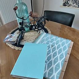 Verblijf 262804 - Vakantiewoning Het Friese platteland - Hûske twa