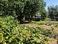 Guest house 264302 • Holiday property Het Friese platteland • Huisje in Kollum  • 4 of 21