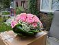 Guest house 266201 • Bed and Breakfast Zuid-Beveland • B & B Boezeneren  • 10 of 26