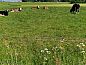 Unterkunft 267011 • Ferienhaus Het Friese platteland • Vakantiehuis in Jannum  • 11 von 11