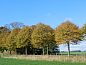 Verblijf 267013 • Vakantiewoning Het Friese platteland • Vakantiehuis in Jannum  • 6 van 21