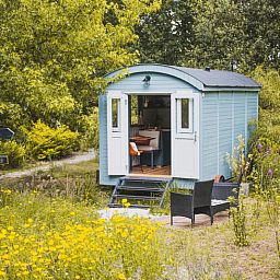 Gemuetliches Ferienhaus in Waskemeer in der friesischen Landschaft, umgeben von Natur und Blumen fuer einen erholsamen Aufenthalt in Friesland.