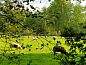Verblijf 268915 • Vakantiewoning Het Friese platteland • Huisje in Kollumerzwaag  • 4 van 26
