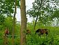 Verblijf 268925 • Vakantiewoning Het Friese platteland • Vakantiehuisje in Kollumerzwaag  • 14 van 15