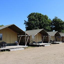 Unterkunft 280137 - Zelthaus Rivierengebied - Safaritent