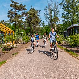 Unterkunft 280934 - Ferienhaus Rivierengebied - EuroParcs De Hooge Veluwe