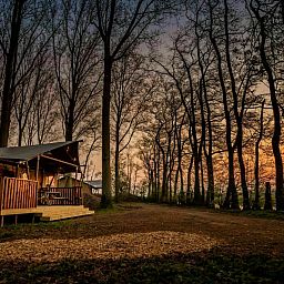 Unterkunft 282710 - Zelthaus Rivierengebied - GLAMPHUYS