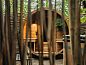 Guest house 282715 • Holiday property Rivierengebied • Vakantiehuis in Altforst  • 6 of 17