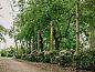 Guest house 282715 • Holiday property Rivierengebied • Vakantiehuis in Altforst  • 13 of 17