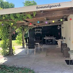 Guest house 282802 - Holiday property Rivierengebied - Vakantiehuisje in Hurwenen