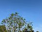 Guest house 284405 • Holiday property Rivierengebied • Huisje in Eck en Wiel  • 7 of 10