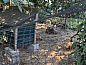 Guest house 284405 • Holiday property Rivierengebied • Huisje in Eck en Wiel  • 8 of 10