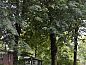 Guest house 286010 • Holiday property Rivierengebied • Vakantiehuisje in Wolfheze  • 10 of 15